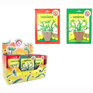 Fliegenschreck 2 times sorted on card approx 17x12cm