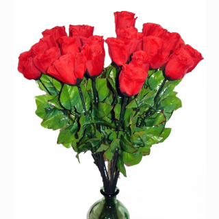 Baccararose - nur rot-  ca 65 cm