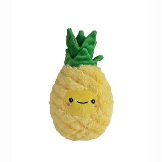Ananas  ca 20 cm