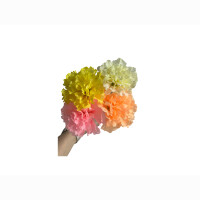 Nelke ca 30 cm Gelb/Orange/Pi
nk/cremewei&szlig;