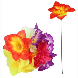 Narzisse ohne Blatt ca 28cm