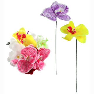 Orchidee Phalaenopsis 7 Farben ohne Blatt ca 21cm