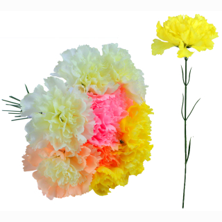 Nelke 4 Farben sortiert ca 30cm