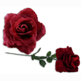 Rose gro&szlig; ca 73 cm