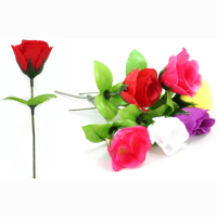 Rose farbig sortiert ca 15 cm