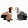 Geier Vogel ca 31cm